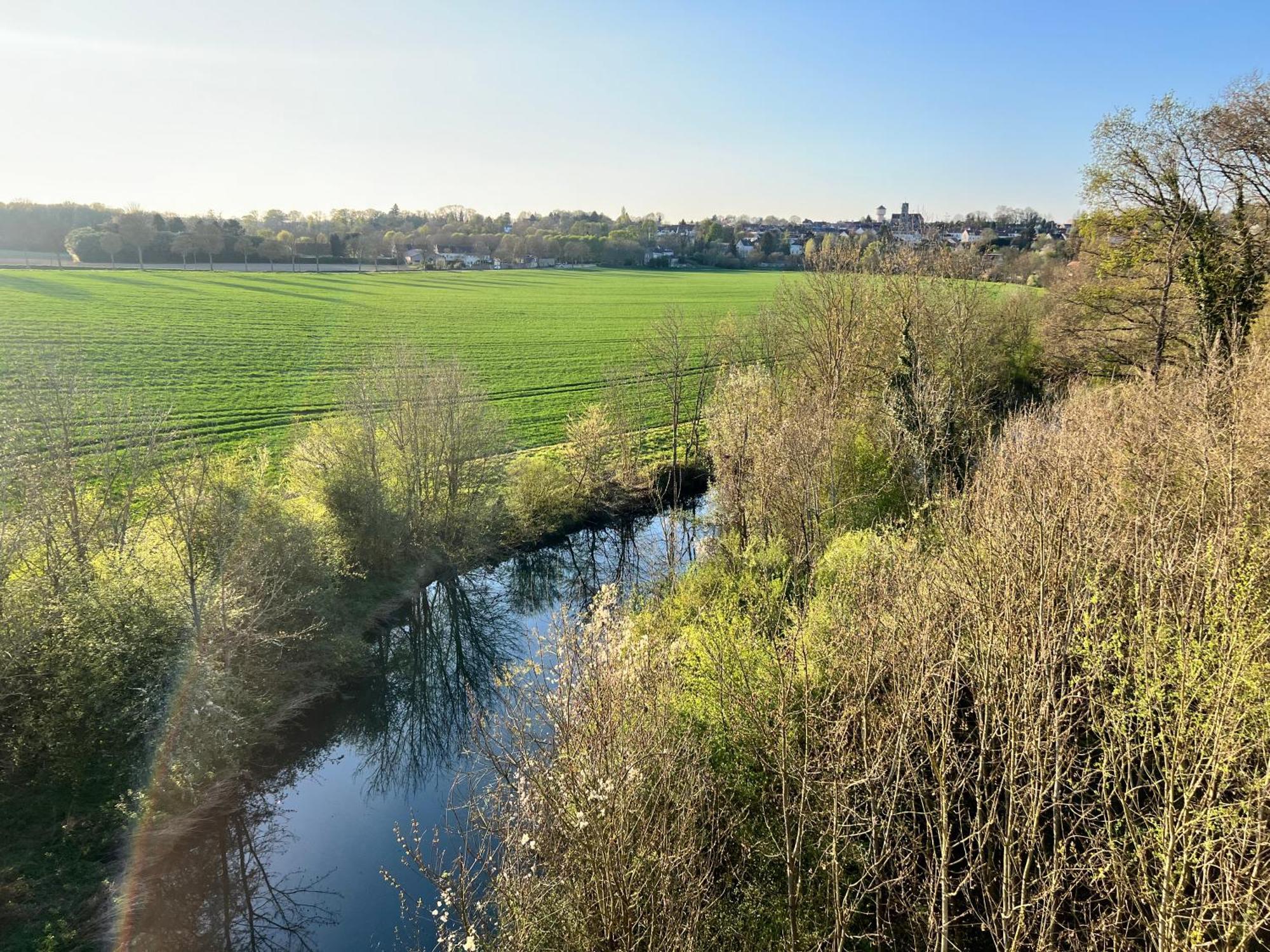 Chateau De Crenille Chaumes-en-Brie Bagian luar foto